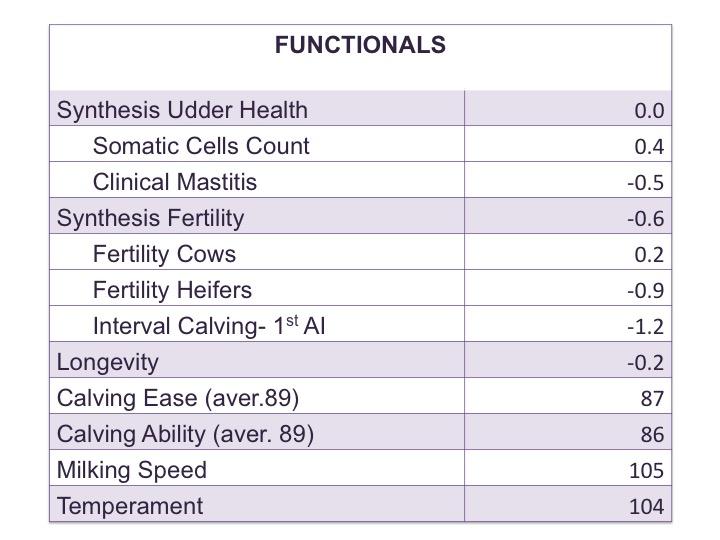 Casimir JB Montbeliarde functional