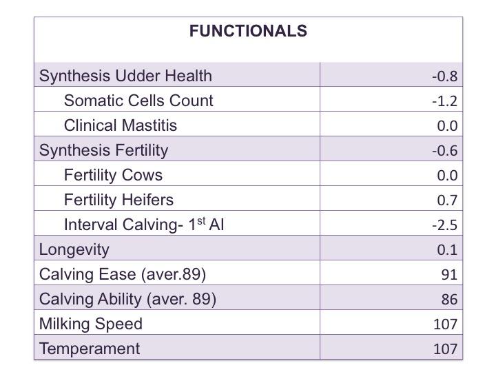 Flash JB Montbeliarde functional 