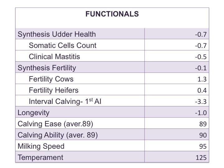 Funky JB Functional 